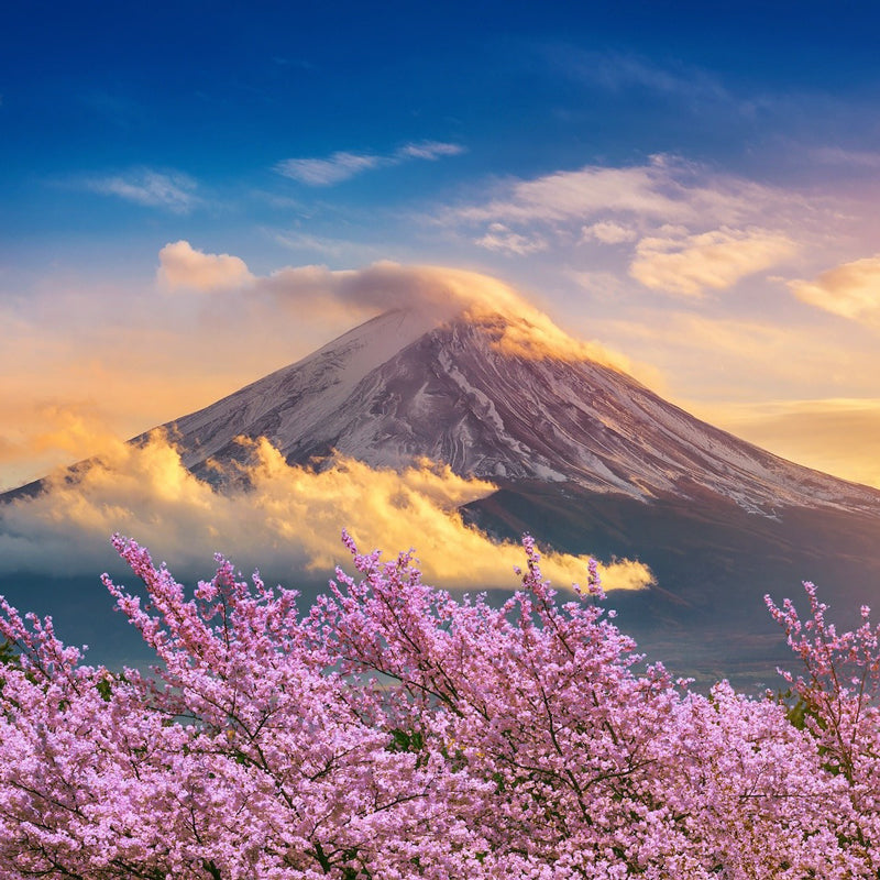 Japan Data Top-up SIM Card