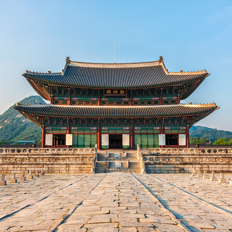 South Korea Data Top-up SIM Card