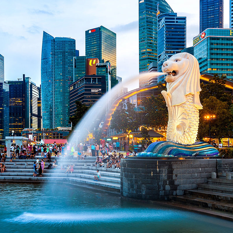 Singapore Data Top-up SIM Card