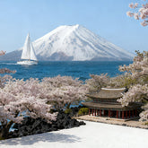 Japan & South Korea Data Top-up SIM Card